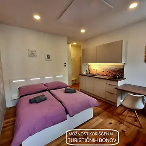 apartment-gold.hotels-in-ljubljana.com/
